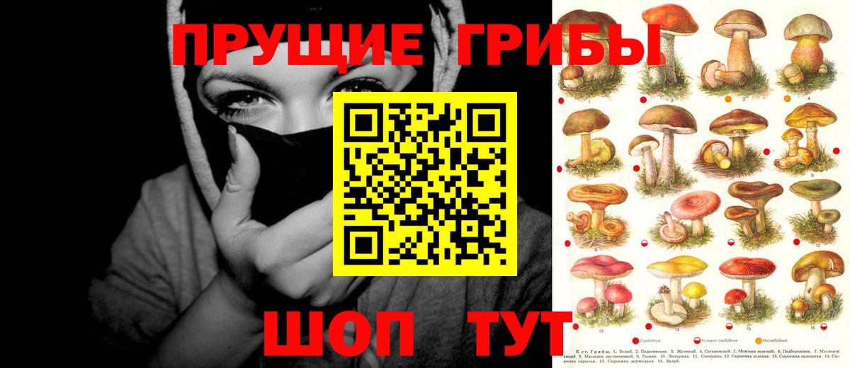 Галлюциногенные грибы мицелий Елизово