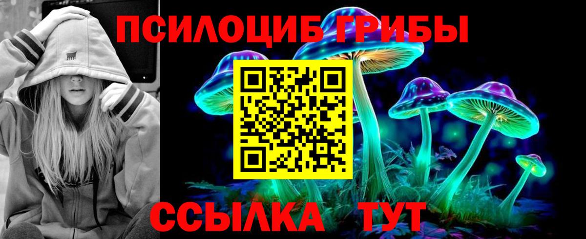Елизово  Псилоцибиновые грибы прущие грибы  Вход с VPN 